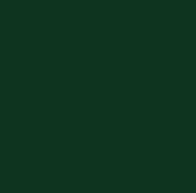 Tixe : Brilltix : Solvent Based Enamel : Gloss : 375ml : Green Wagon (Vagone)