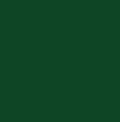 Tixe : Brilltix : Solvent Based Enamel : Gloss : 375ml : Victory Green (V. Vittoria)