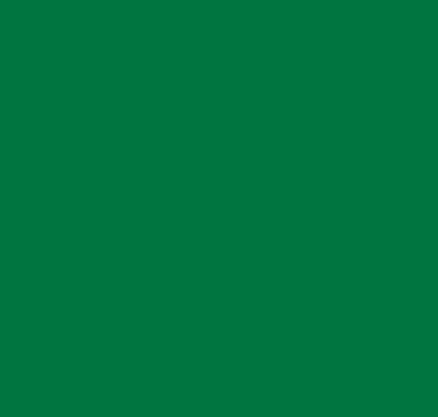 Tixe : Brilltix : Solvent Based Enamel : Gloss : 375ml : Green Meadow (V. Prato)