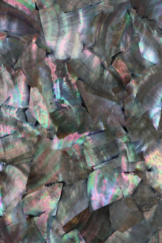 Mother of Pearl : Black Irregular (painted back) : 24 x 14cmm