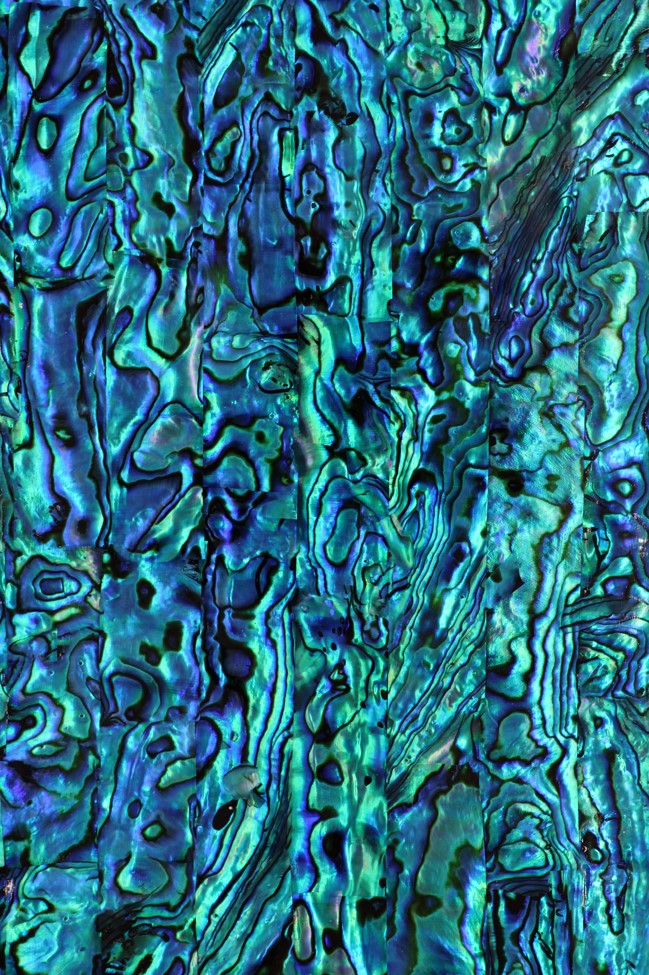 Abalone : Blue High Gloss : 24 x 14cmm