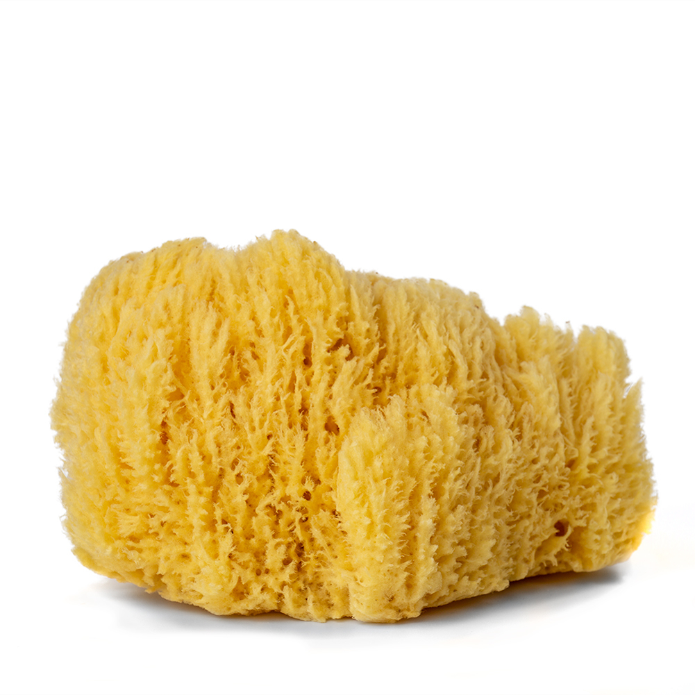 Round Synthetic Sponge