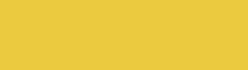 Craftmaster : Decorative Flat Colour 250 ml : Gold