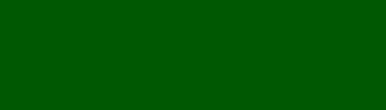 Craftmaster : Decorative Flat Colour 250 ml : Mid Green