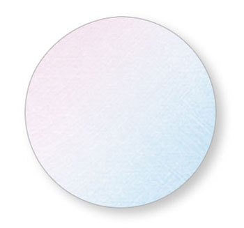 Polyvine : Metallic Paint : 1 litre : Metallic Shimmer Pearl