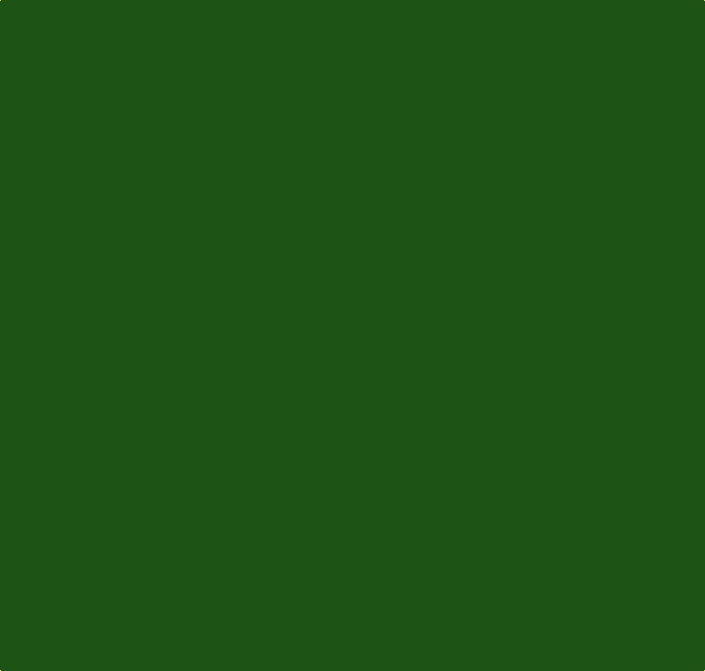 Craftmaster : Signwriting and Lining Enamel : Lightfast Green : 250ml