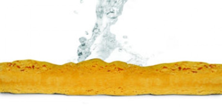 Handover : Compressed Spontex Cellulose Sponges