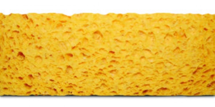 Handover : Compressed Spontex Cellulose Sponges